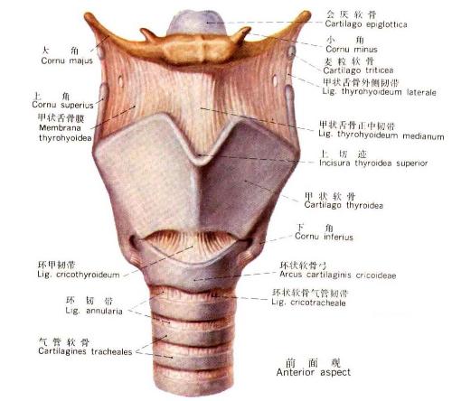 和沂水的发音相似的英文名(女)