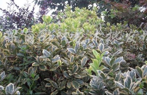 台湾现在属不属于中国?-台湾在国际上到底属不