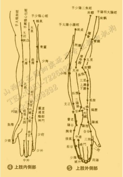手臂肘部经络酸痛怎么办-手臂受伤经络疼痛 _感人网