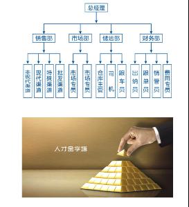 管理学中扁平式组织结构的特点-求管理学案例