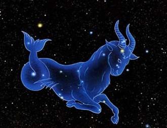 什么动物外表看起来很坚强其实内心很脆弱-外