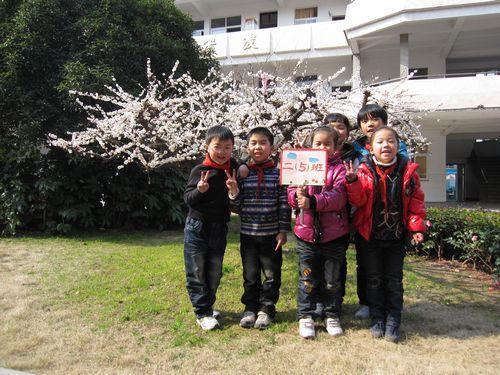 北白象镇第四小学是公立还是私立-公立小学与