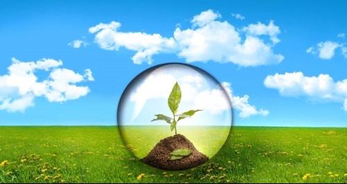 怎样体现自己生命的价值?-有谁身上体现了生命