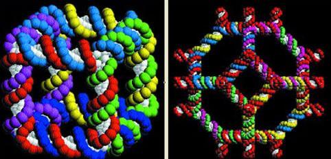 纳米科技新闻资料(摘抄)-求语文摘抄资料