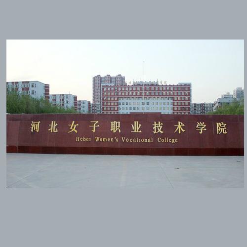 怎么查河北女子职业技术学院2011年期末成绩