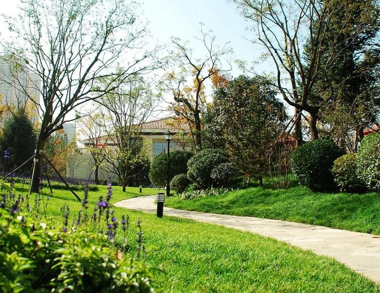 绿地率是什么,什么是绿地覆盖率及生均绿化用