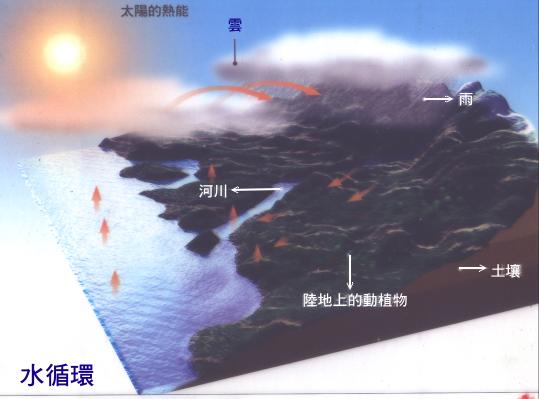 水循环