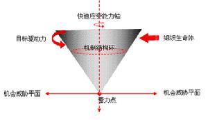 陀螺力学