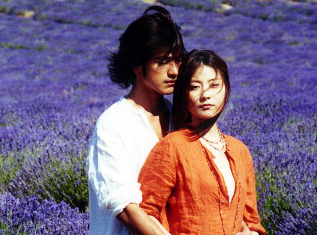 熏衣草电视剧图片