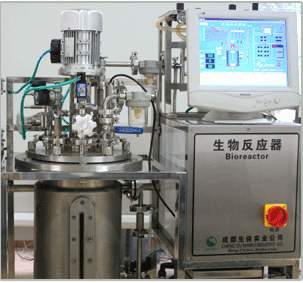 动物细胞培养反应器