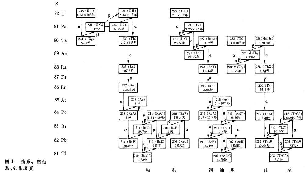 radioactive decay series 又称放射系,放射链,衰变系,衰变链