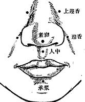 承浆穴位于人体的面部,当颏唇沟的正中凹陷处.