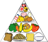 食物金字塔