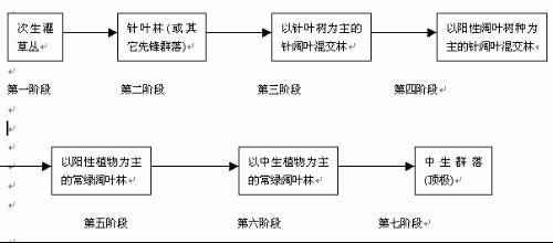 次生演替