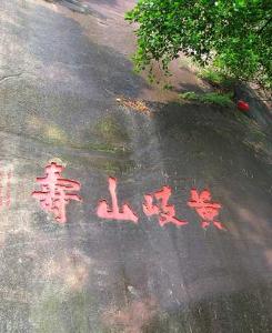 广东省揭阳市东山区