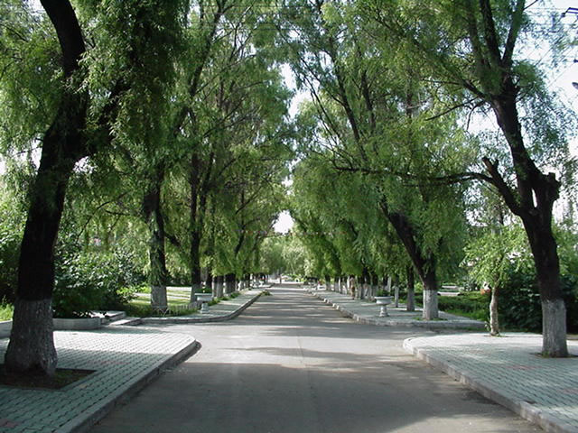 黑龙江林业职业技术学院