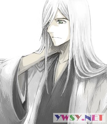 禁止营救井上织姬」++179话