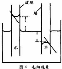 毛细现象+-+搜搜百科