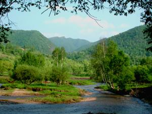 木兰围场国有林场管理局