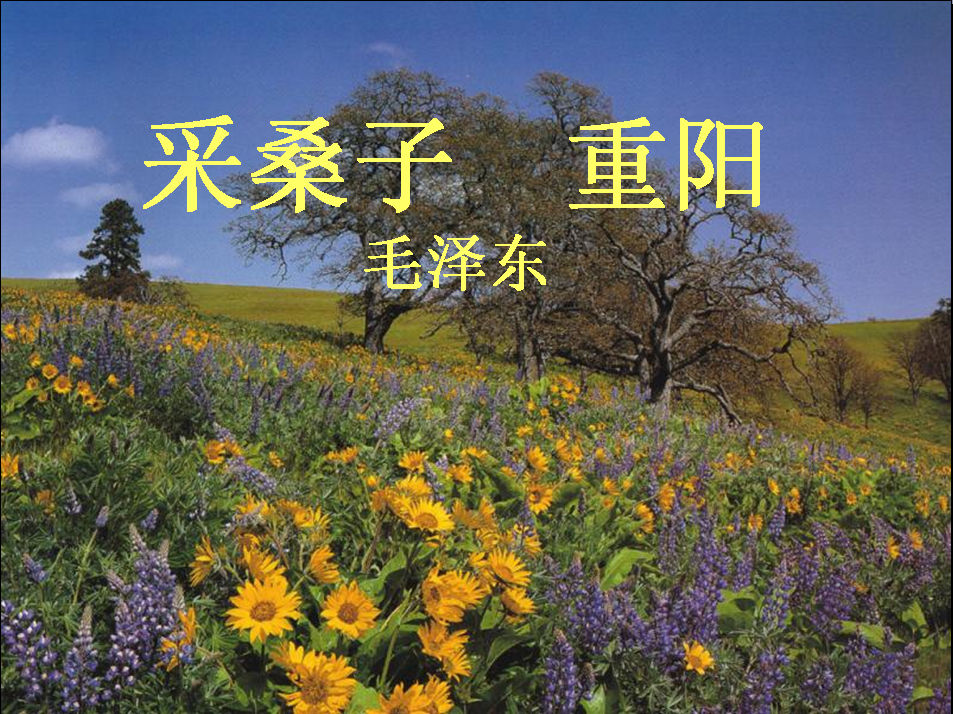 花儿朵朵(七); 《踏莎行》——又至重阳; 采桑子·年年才到花时候