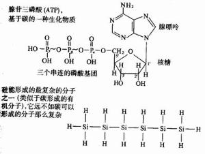 碳基生命
