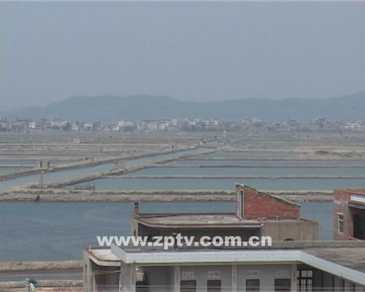 后蔡村(福建省泉州市晋江市安海镇下辖村)词汇初中图片