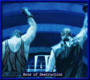 毁灭兄弟