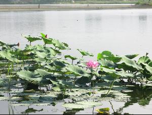 吉林省桦甸市