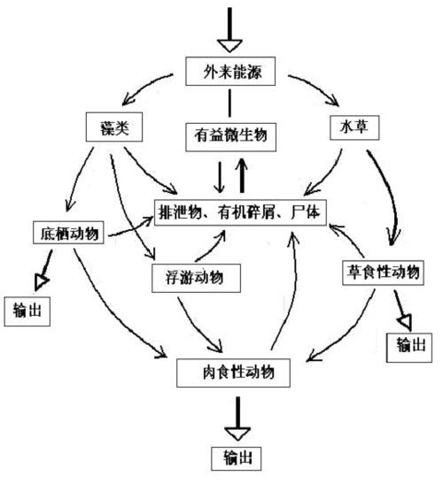 生物链