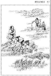 观刈麦 - 搜搜百科