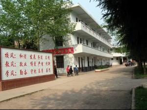 造纸行业：一场关于绿色革命的变革