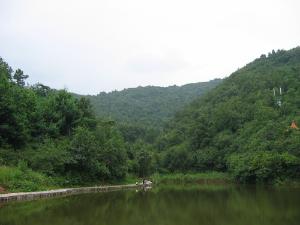 翠峰山简介+说起曲靖的佛教名山翠蜂山
