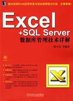 Excel+SQLServer数据库管理