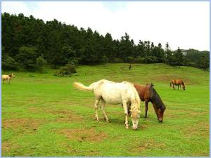 <em>武隆仙女山</em>附近的那个仙女峡漂流有什么<em>美食</em>-