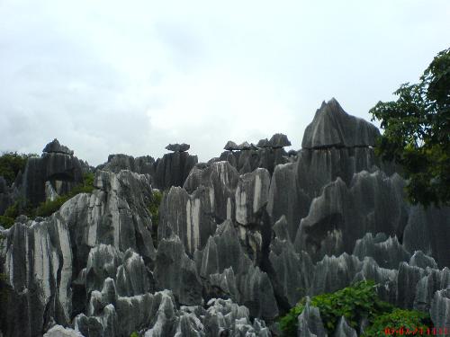 石林(云南石林风景区)