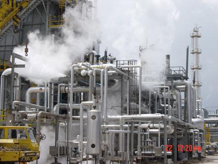 由生物质来源于空气中的co2