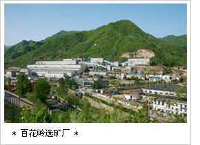 金堆城人口_东汇城超市人口图片
