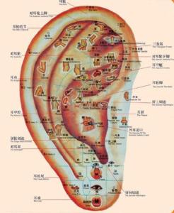 耳石症≠颈椎病