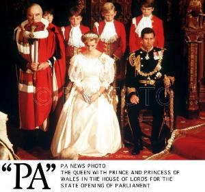 戴安娜+-+搜搜百科