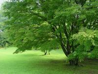 近义词+生气勃勃