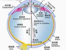 间歇性外斜视 搜狗百科