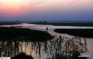 曾经沧海难为水