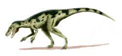 艾雷拉龙(学名 herrerasaurus),又称 黑瑞拉龙, 埃雷拉龙, 黑瑞龙或