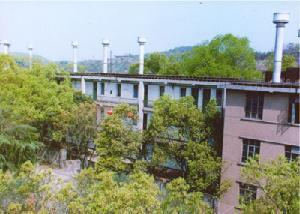 鹤岭镇
