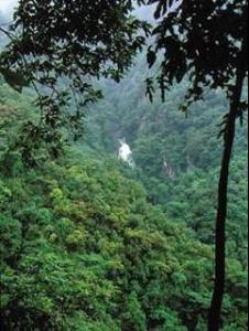 高黎贡山国家级自然保护区