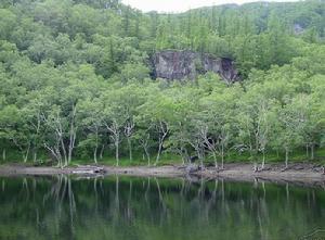 以保护两栖动物林蛙(蛤什蟆)为主要对象的自然保护区