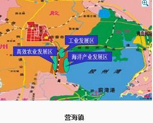 谁有山东省青岛胶州市营海镇的qq