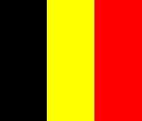 旗地近似咖啡色,旗中间有比利时国徽,旗地四角处各有一顶王冠和在位