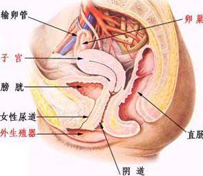 女专科医院:对<em>女人</em>而言