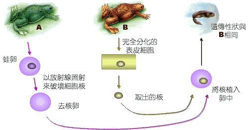 20091010181700-252794432.jpg